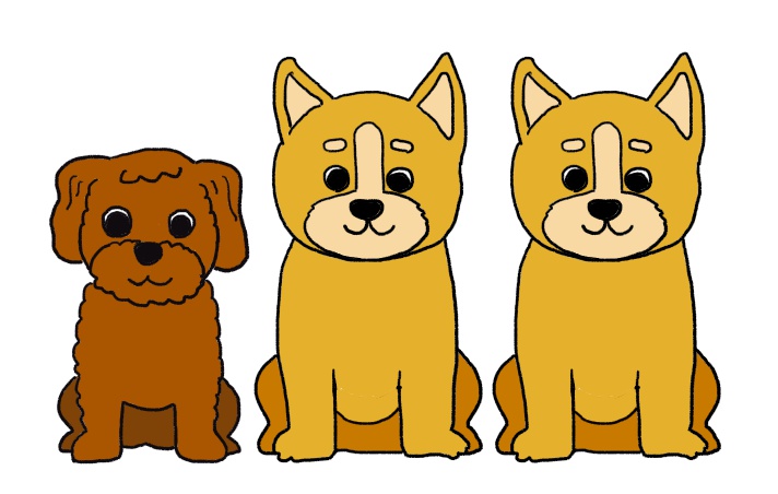 その３３ 大きな犬と小っちゃな犬 介護の情報チャンネル Caps Channel